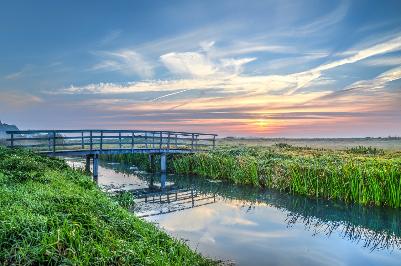 達開快速通道最新進展報告更新,最新動態揭秘!