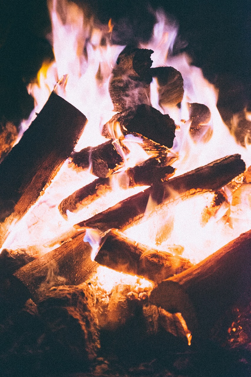 最新噩夢遠征,探險與挑戰的終極之旅