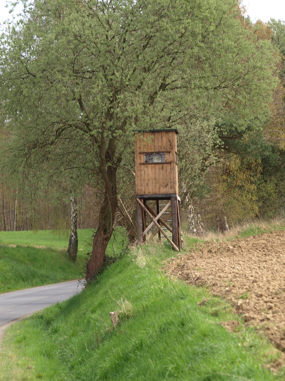 熱血獵人,探索未知領域,引領狩獵新風潮——最新動態與資訊