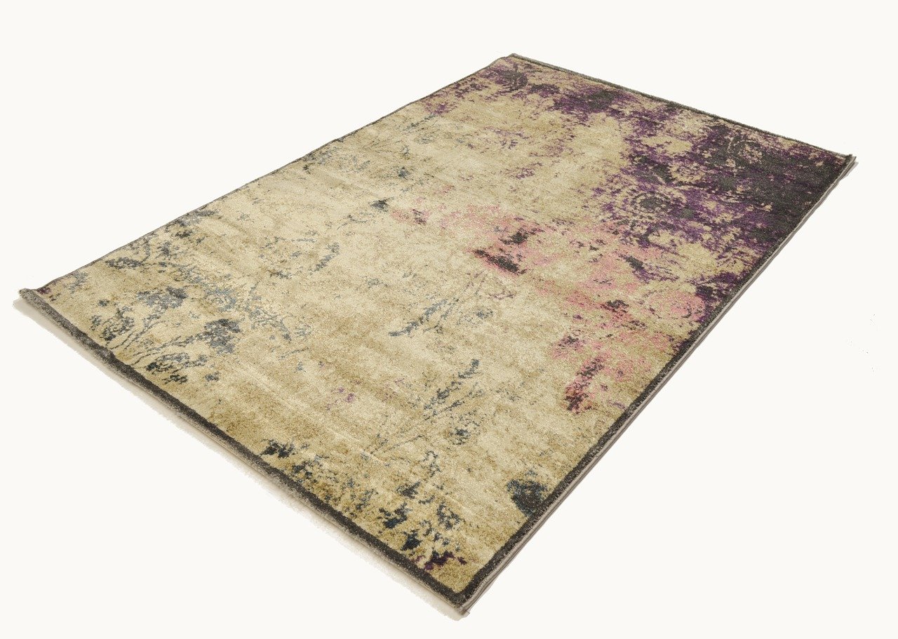 探索蘭花世界的最新動(dòng)態(tài)與發(fā)展趨勢(shì),最新蘭花新聞報(bào)道