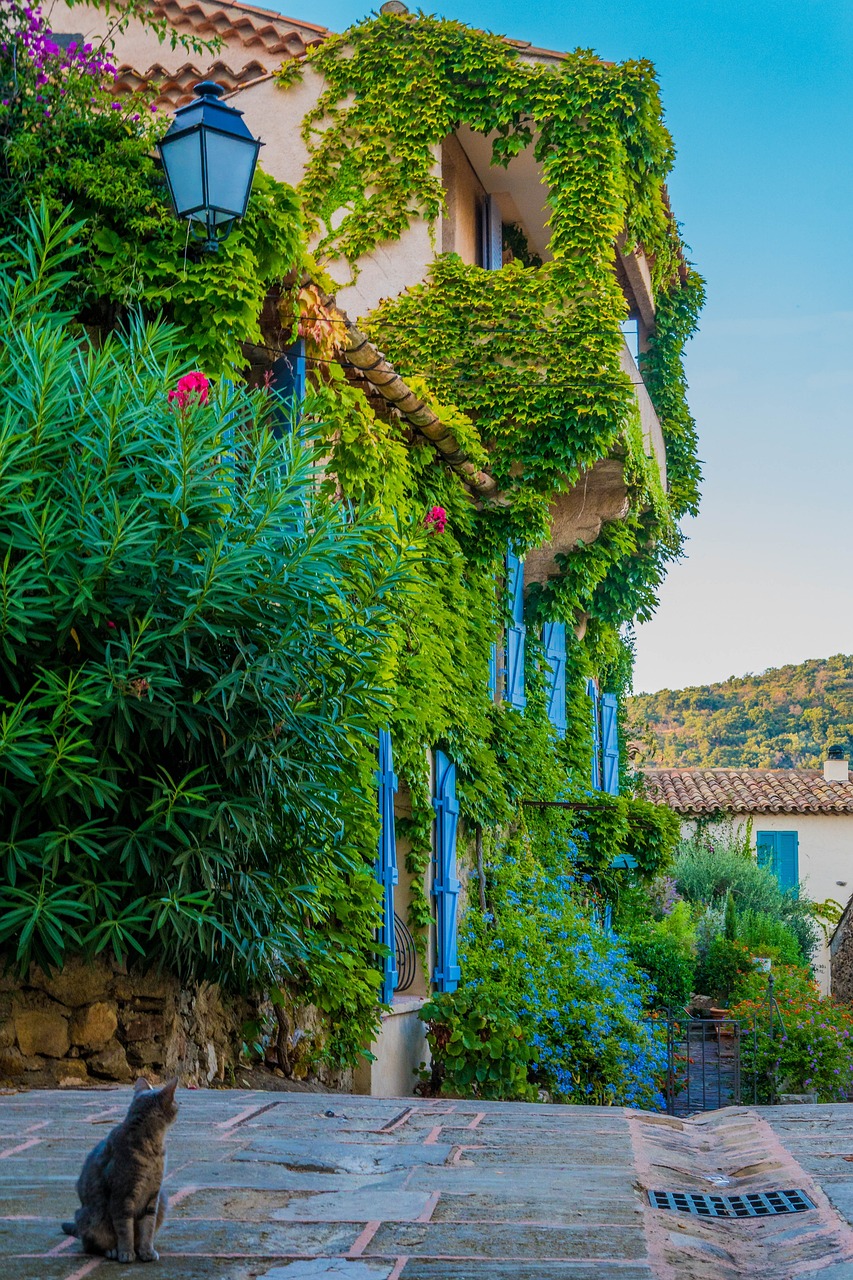 探索自然之美與銀溫泉的健康養生之道