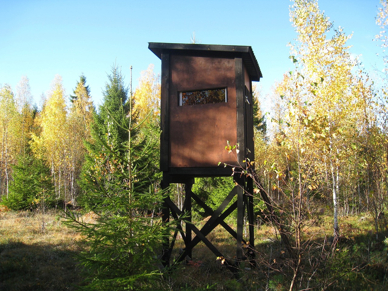 漢巫最新動態,探索與突破的成果展示