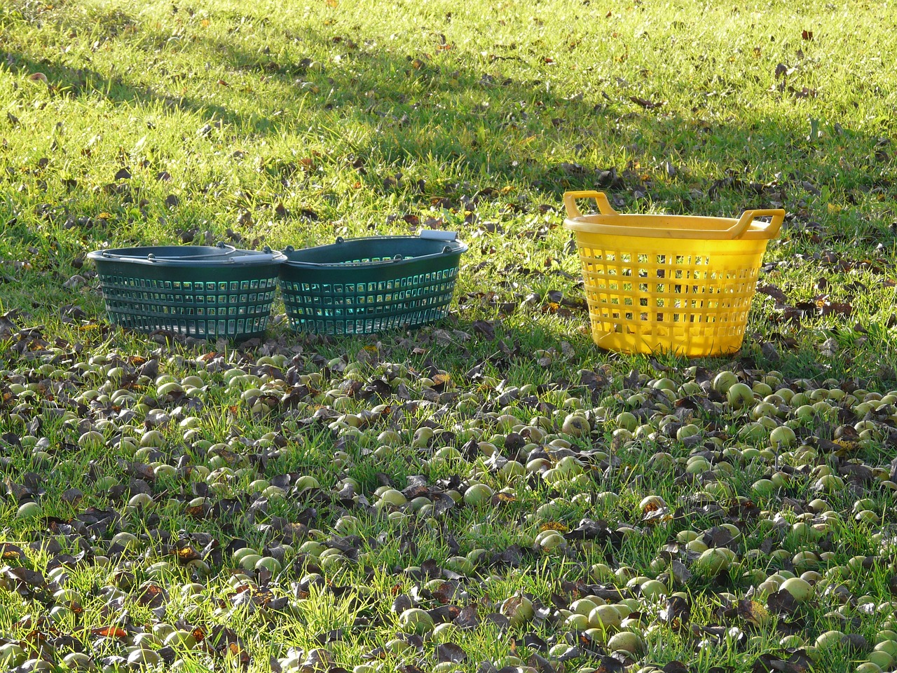 鼎盛精工最新發(fā)展動(dòng)態(tài)及其行業(yè)影響力分析