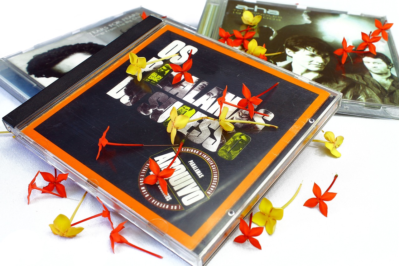 最新舞曲網站,音樂潮流前沿的探索陣地