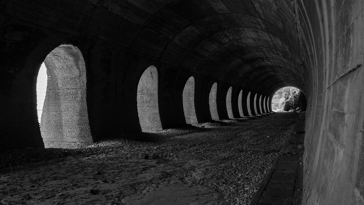 孫曉云最新動態,探索未來藝術之路的無限可能