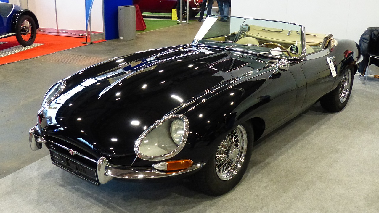 孫曉云最新動態,探索未來藝術之路的無限可能