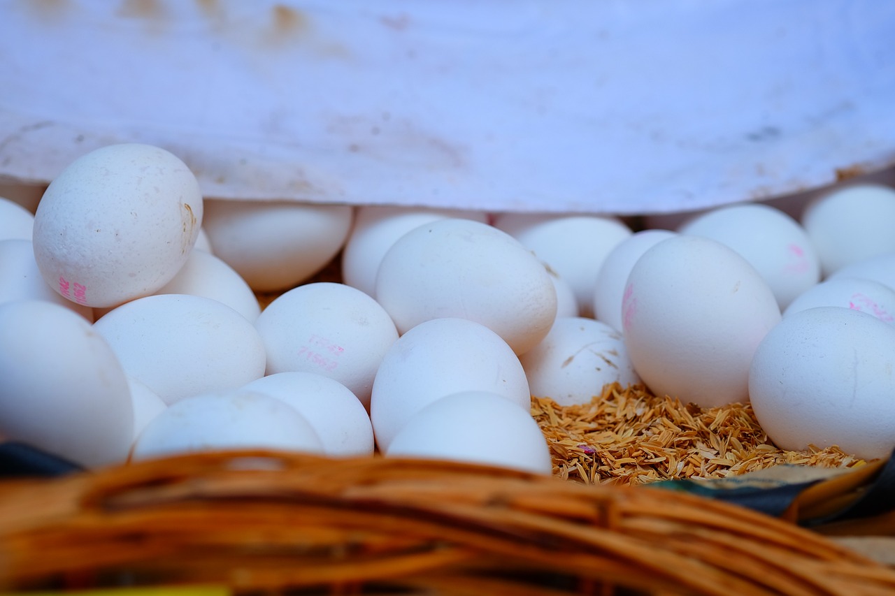 唐山帶鋼最新價格動態分析與趨勢預測