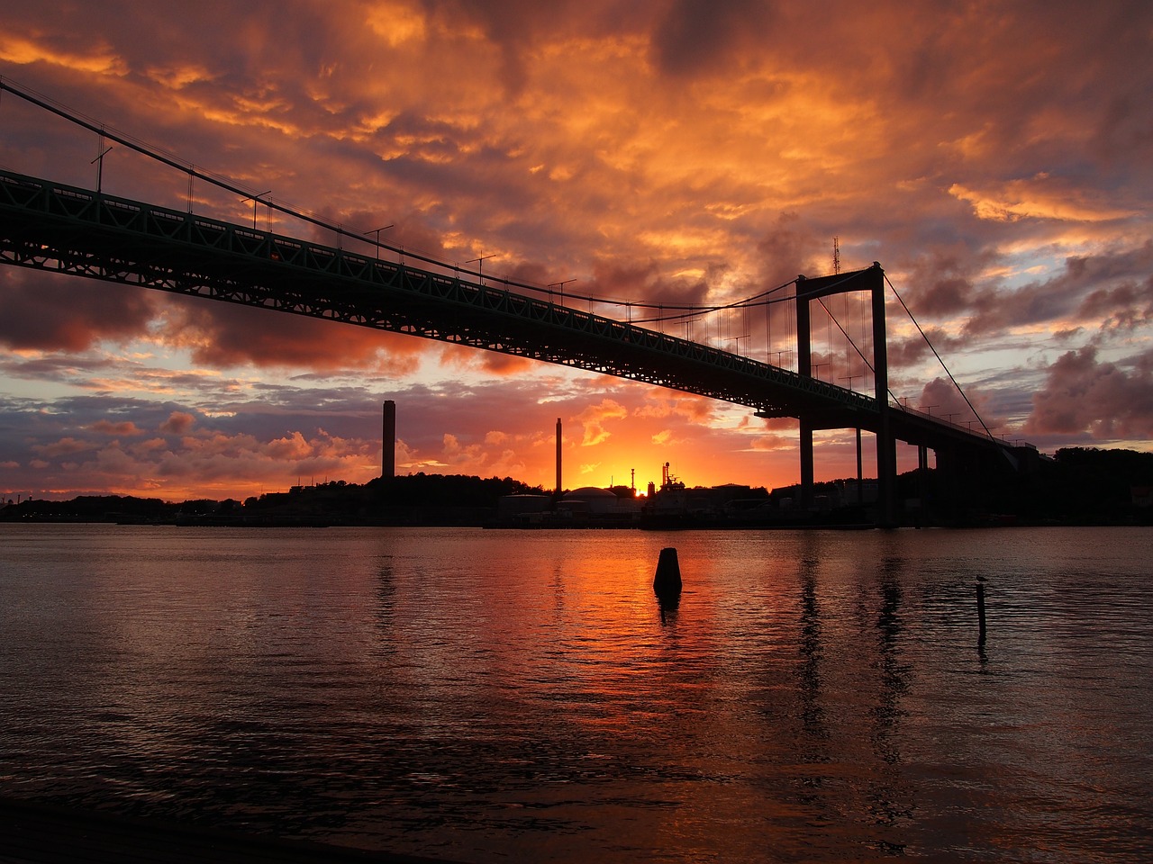 快絡牛牛最新動態及前景展望