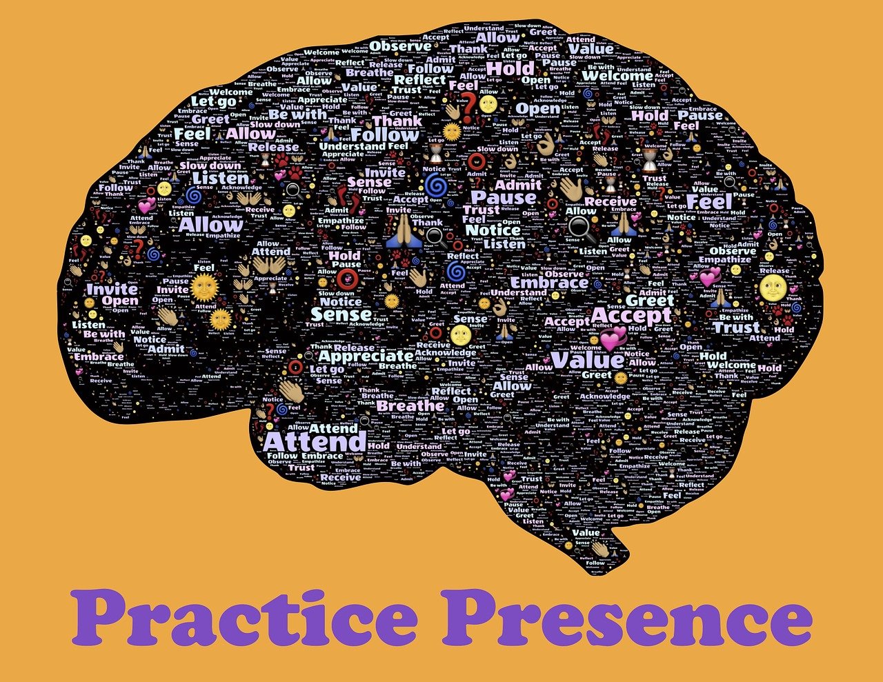 探索崖柏的神秘魅力，最新崖柏視頻欣賞