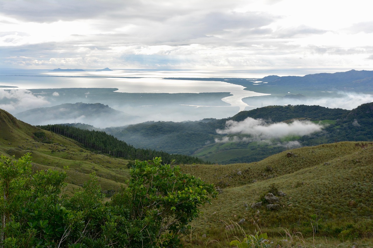 鉬鐵最新報價與市場動態分析概覽